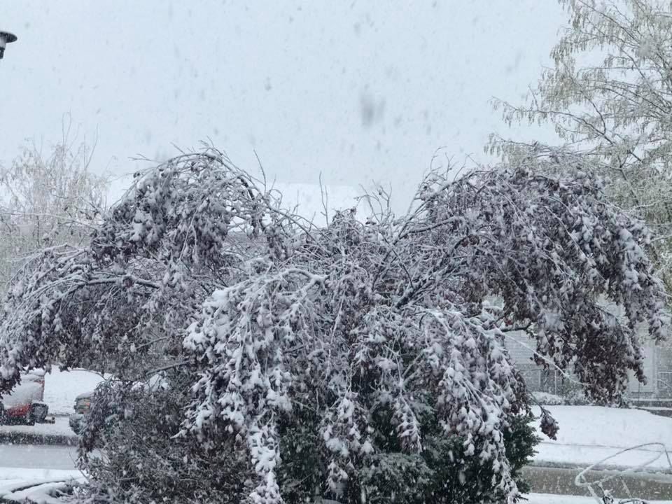 Snow, 10/14
